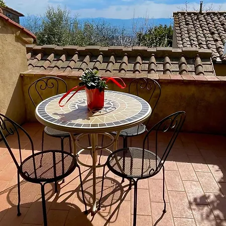 Agora * Montecatini Val di Cecina